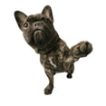 thumbnail image 1 of Dog with Paw Raised Poster Print by Don Hammond, 24 x 30 - Large, 1 of 1