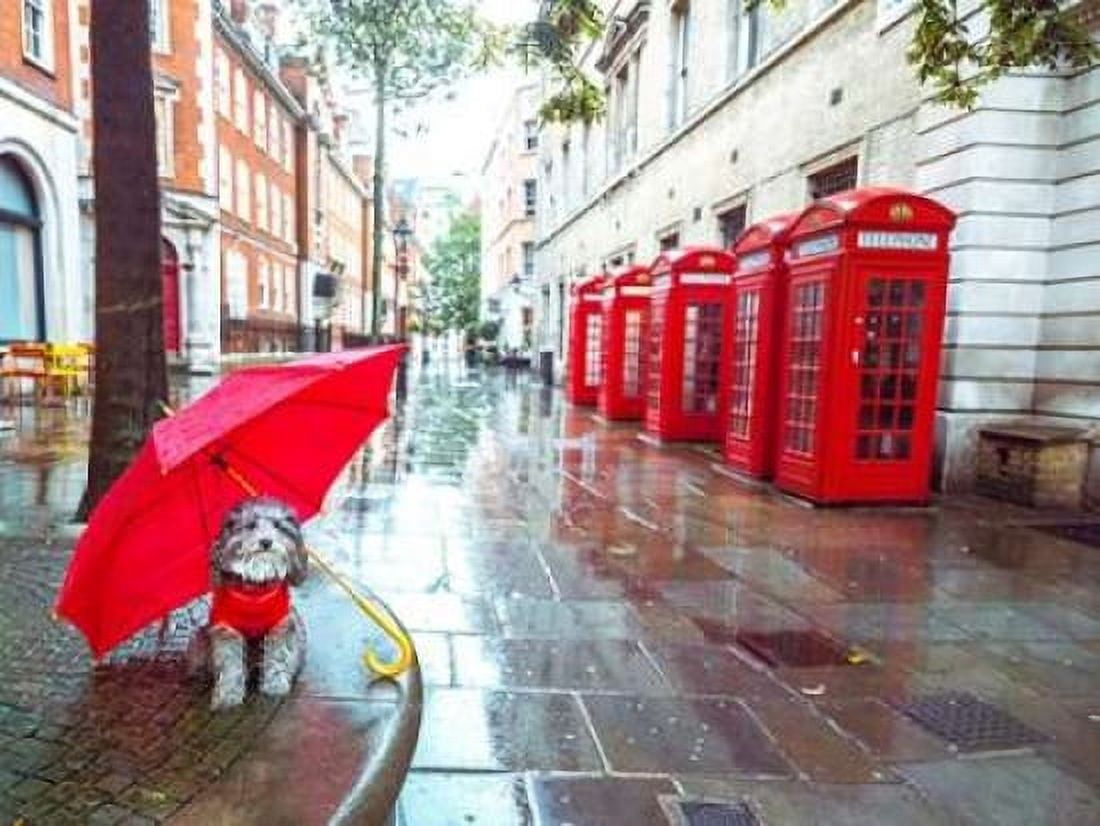 Dog with umbrella on London city street Canvas Art - Assaf Frank (22 x 28)