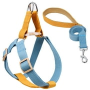 DogLemi Dog Chest Harness and Leash Set, Adjustable Heavy Duty Harnesses,  Easy to Plug & Wear Soft Padded Quick Fit Vest Harness for Small Medium Large Dogs Walking, Blue-Yellow,S