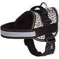 thumbnail image 1 of DogLine - Dog Harness, Reflective No-Pull Adjustable Pet Vest with Handle for Walking, Training, Service and Outdoors - Breathable No - Choke Room for Patches( Leopard Rainbow: Girth 15" - 19"), 1 of 7
