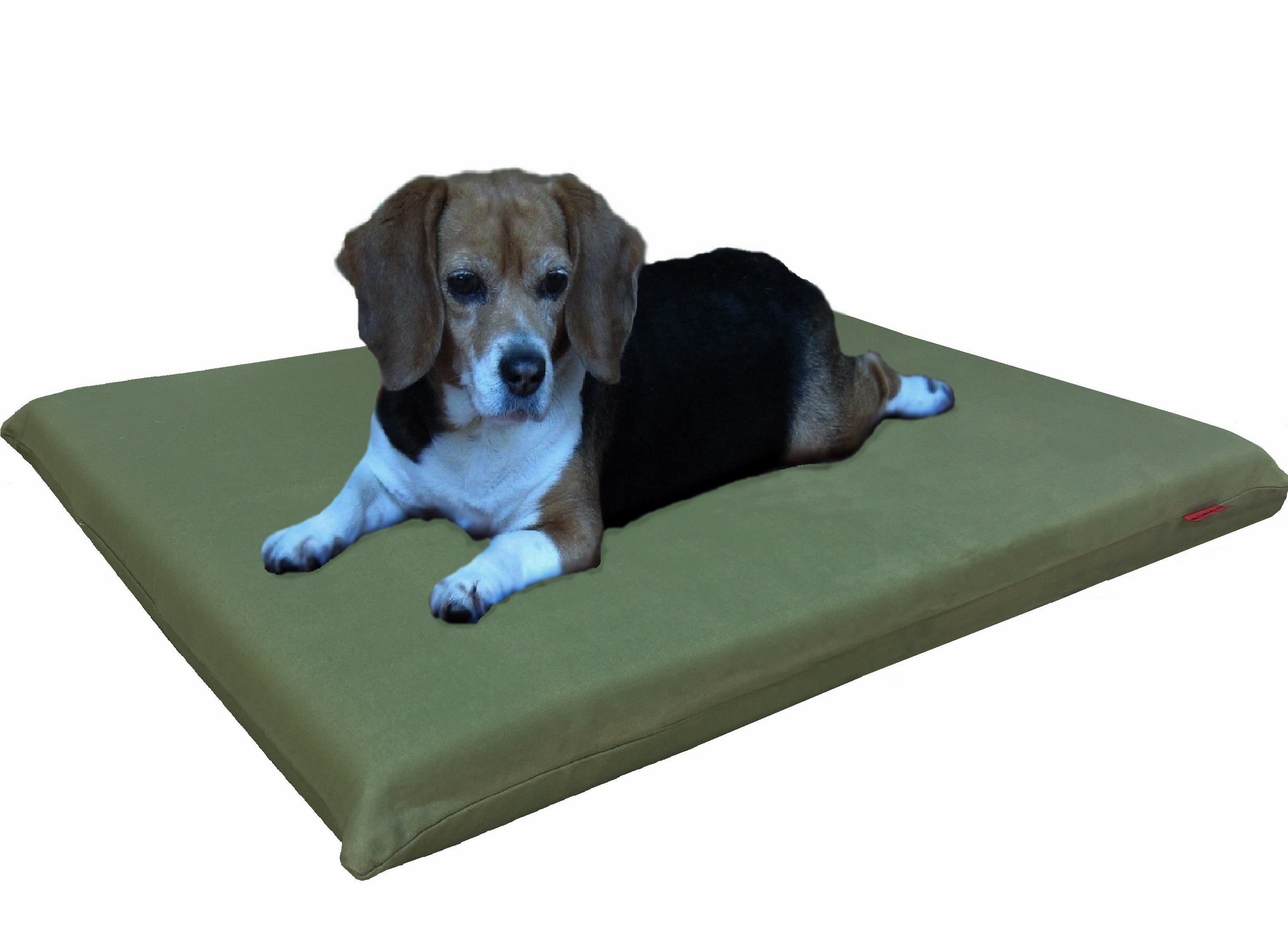 Dogbed4less 34"x27"x3" Memory Foam Platform Bed for Small to Medium Dog, Canvas Green Cover
