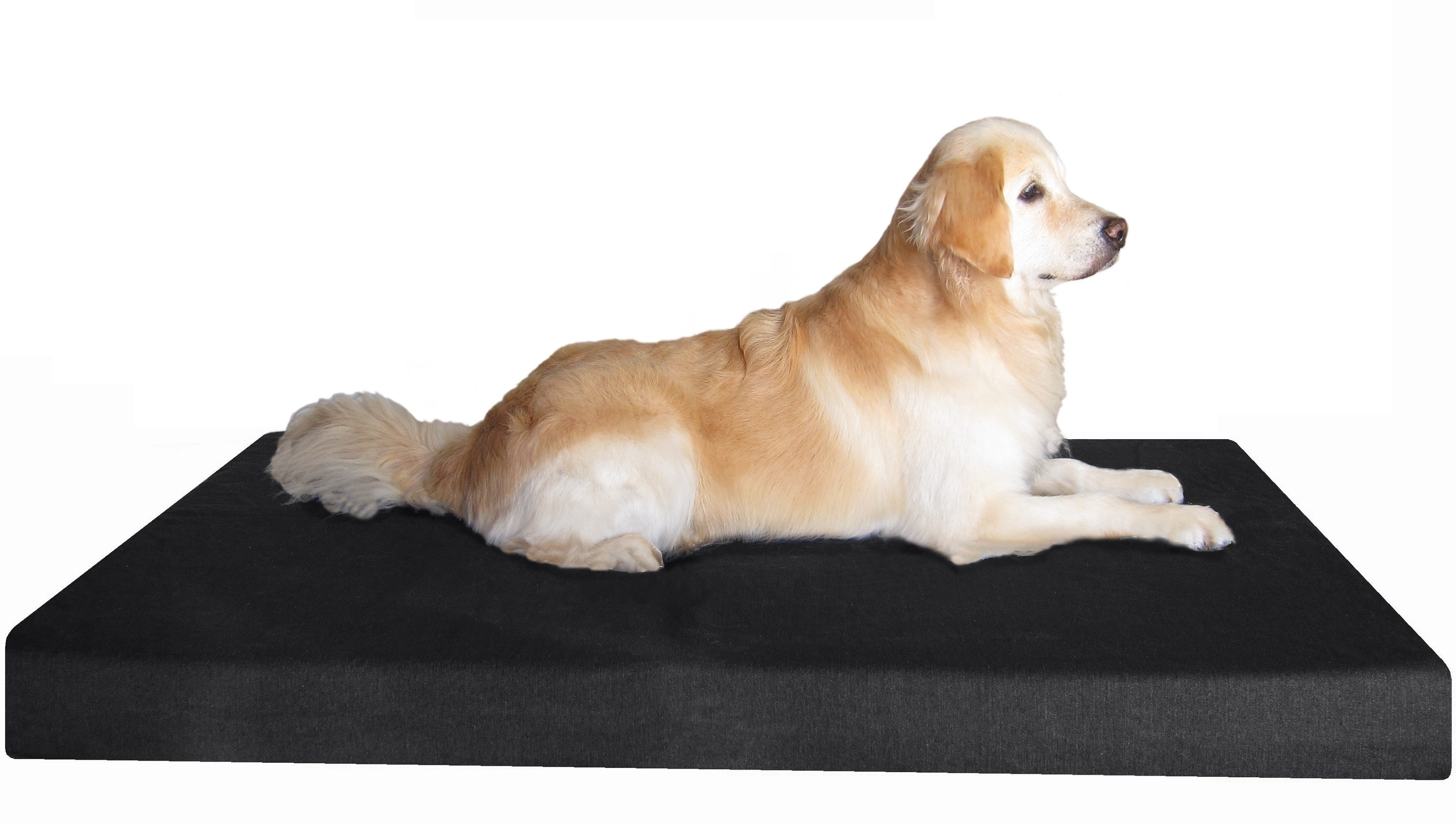 Dogbed4less Jumbo Orthopedic Waterproof Memory Foam Dog Crate Bed Black Washable Cover 55x47x4