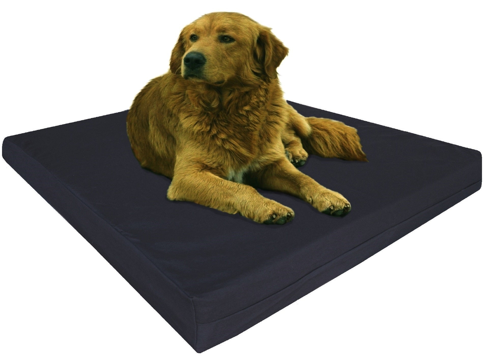 Dogbed4less orthopedic gel cooling clearance memory foam dog bed