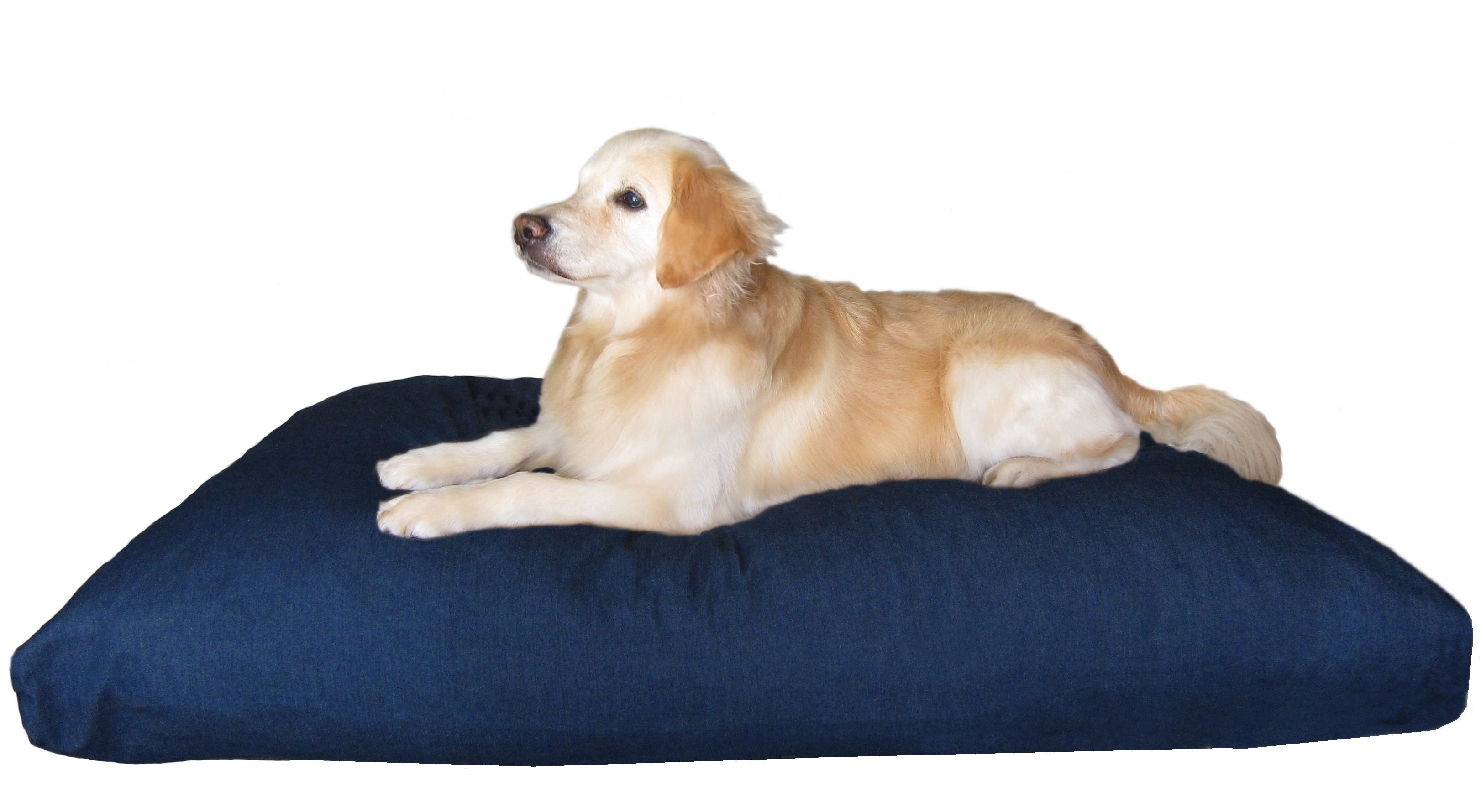 Dogbed4less Orthopedic Shredded Foam Dog Bed Pillow 55"x37" with Washable Waterproof Denim Cover