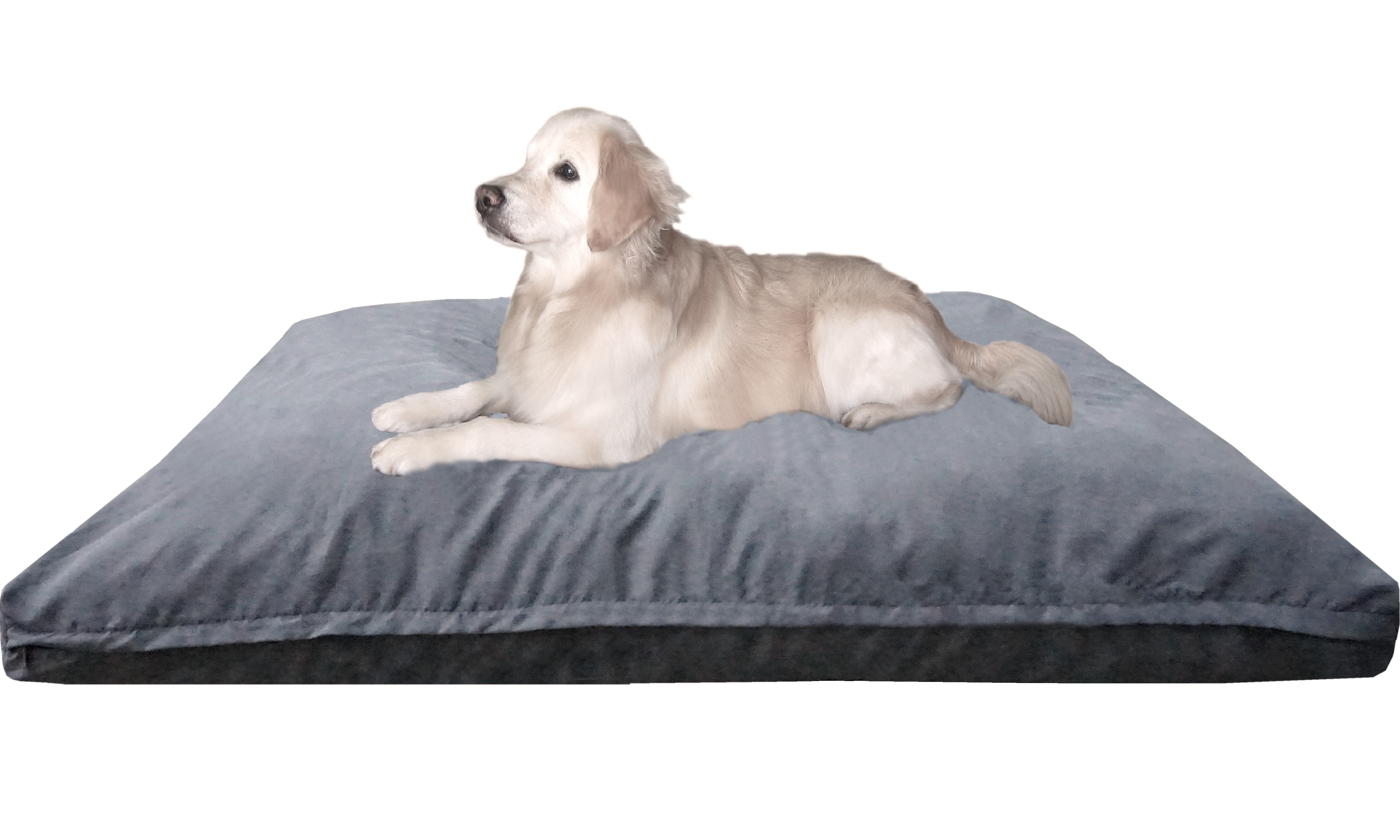Dogbed4less Orthopedic Shredded Memory Foam 55"x37" Waterproof Dog Bed Pillow with Grey Suede Cover