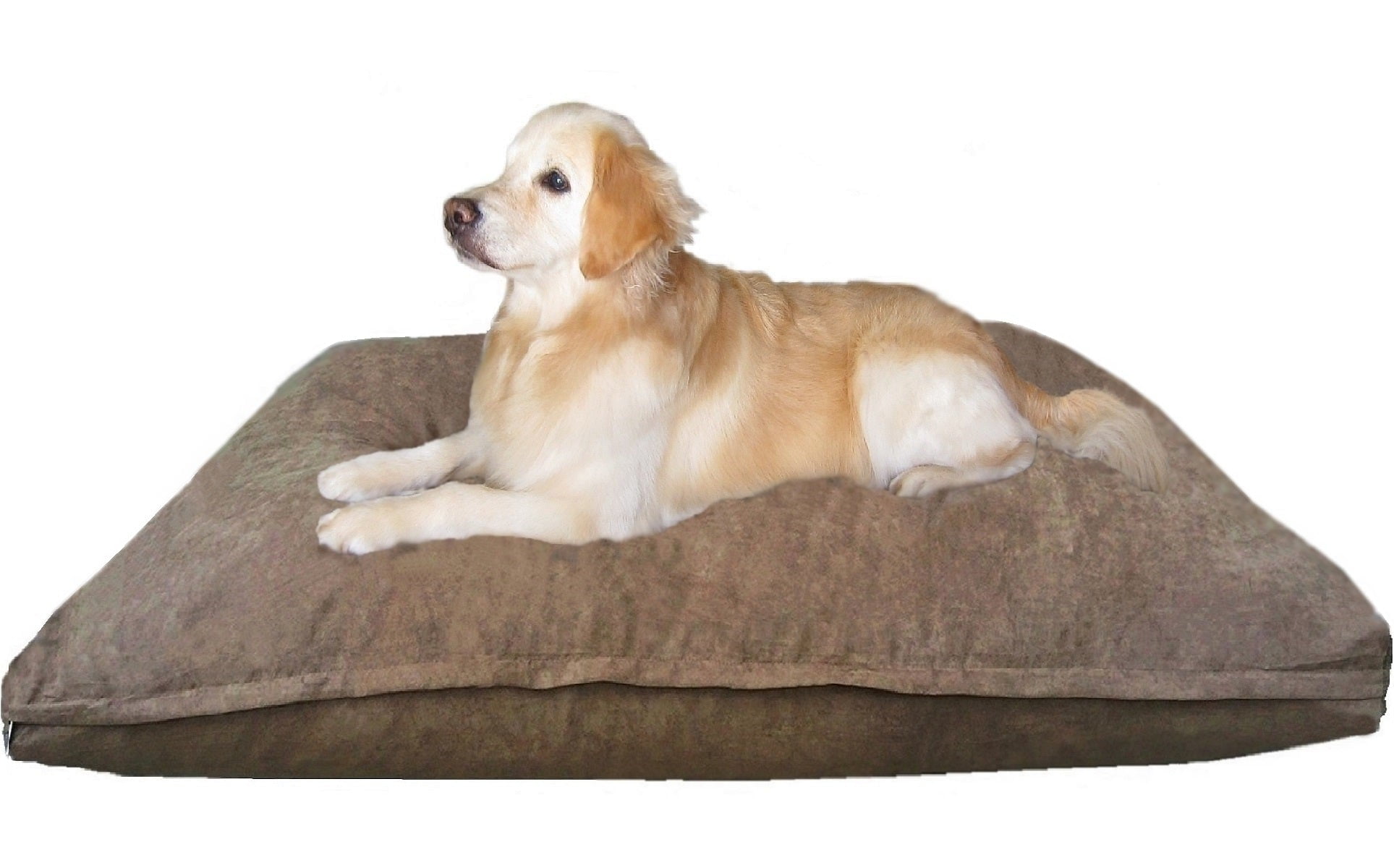Dogbed4less Orthopedic Shredded Memory Foam 55"x37" Waterproof Dog Pet Pillow Bed w/ Suede Cover
