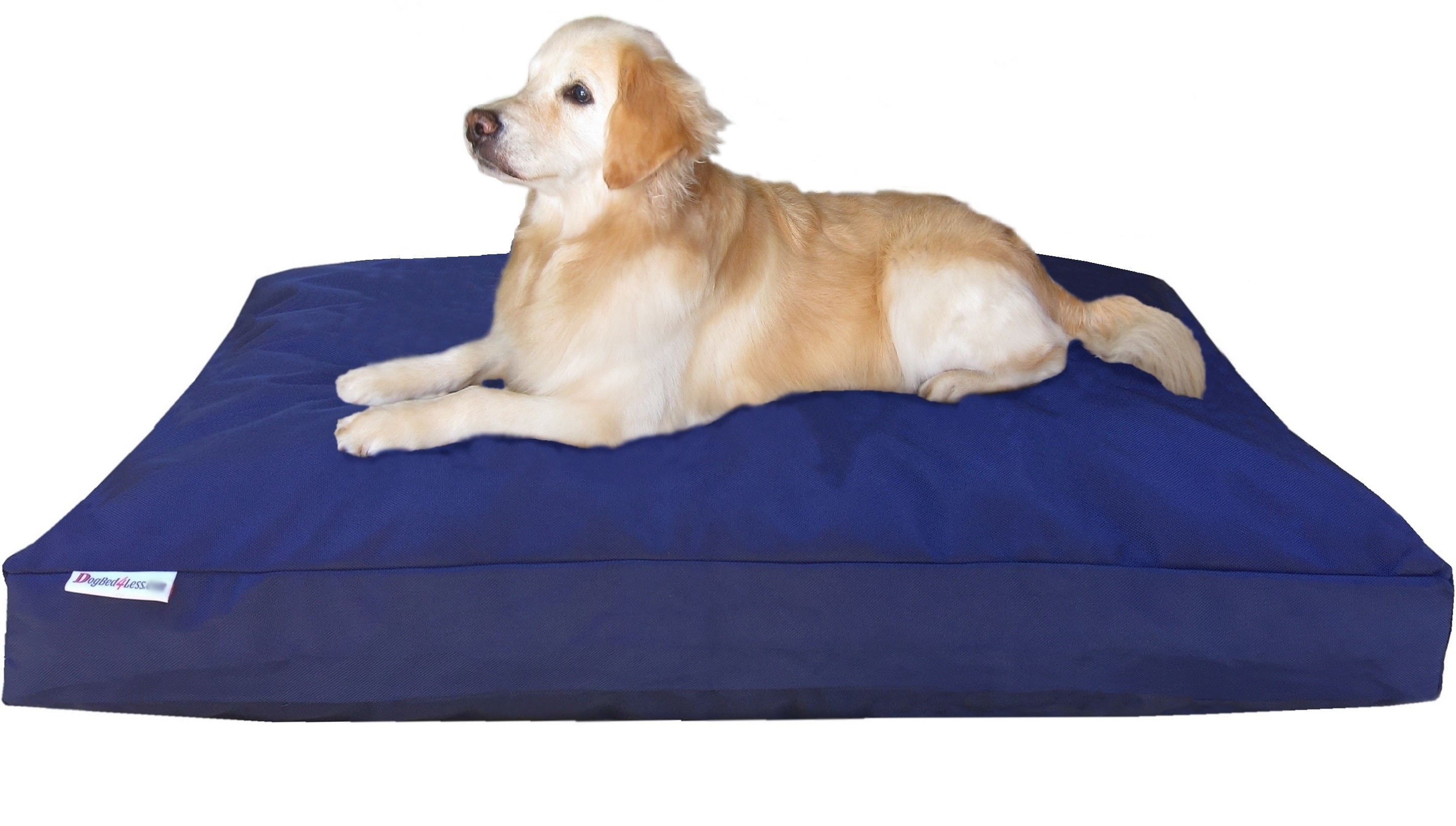 Dogbed4less Orthopedic Waterproof Memory Foam Dog & Cat Pillow Bed, 55"x37", Washable Solid Print