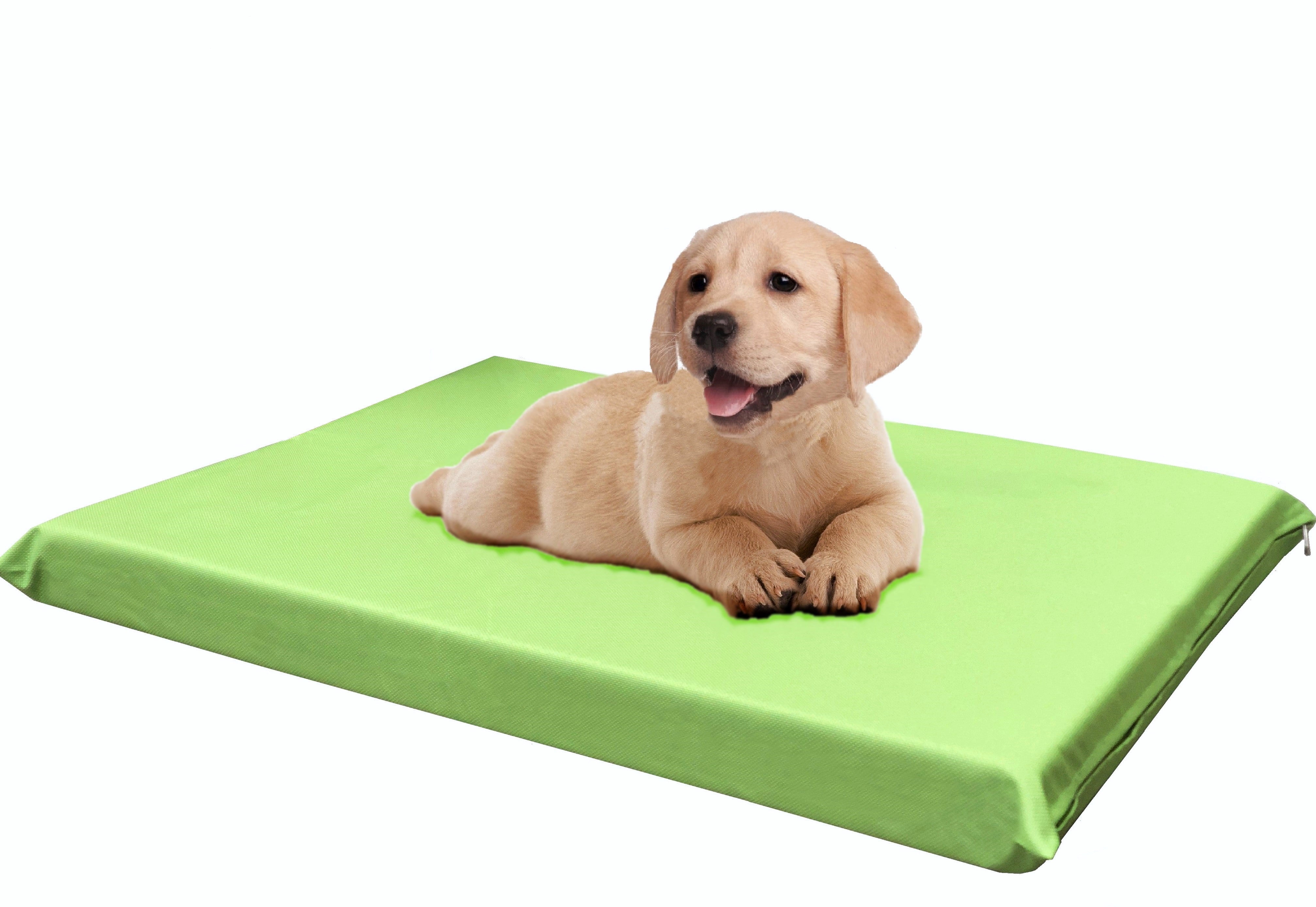 Dogbed4less Waterproof 34"x27"x3" Memory Foam Platform Bed for Small to Medium Dog, Green