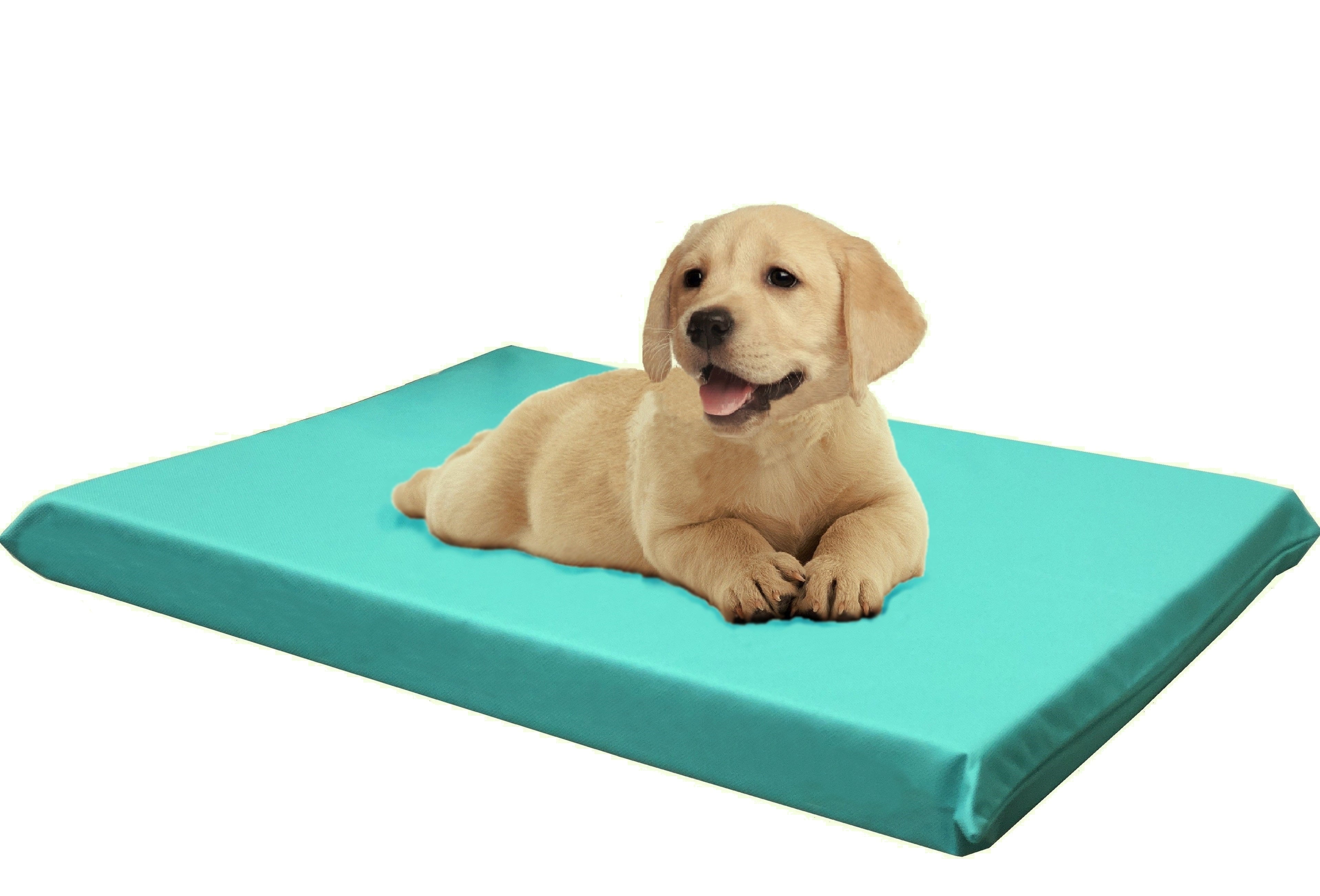 Dogbed4less Waterproof 34"x27"x3" Memory Foam Platform Dog & Cat Bed, Peacock