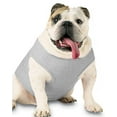 thumbnail image 1 of Doggie Skins 3902 Baby Pet Rib Tank, Heather, Small, 1 of 2