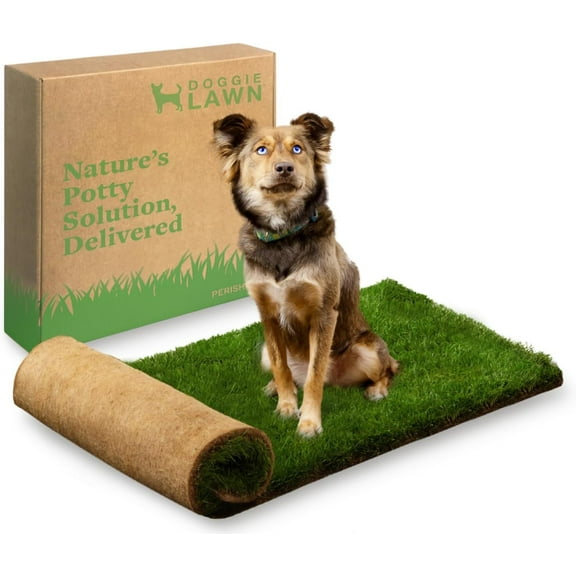 DoggieLawn Real Grass Disposable Potty Training Puppy Pads - 48 x 24 Inches, Grass Pee Pads for Puppies & Dogs