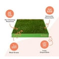 thumbnail image 1 of DoggieLawn Real Grass Puppy Pee Pads- 24 x 20 Inches - Perfect Indoor Litter Box for Dogs - No Mess, Easy-to-Use - Potty Training for Pets - Eco-Friendly Disposable Bathroom with Real Living Grass, 1 of 6