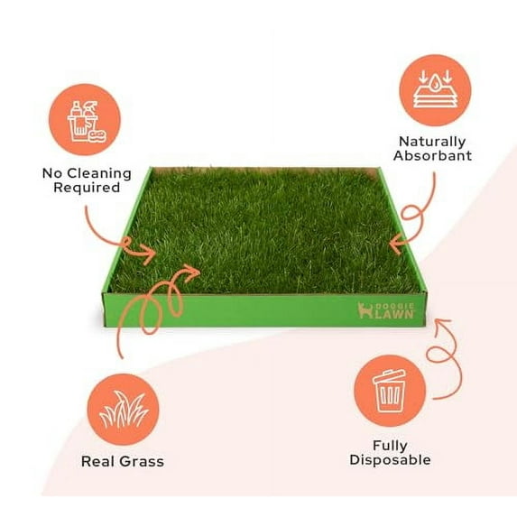DoggieLawn Real Grass Puppy Pee Pads- 24 x 20 Inches - Perfect Indoor Litter Box for Dogs - No Mess, Easy-to-Use - Potty Training for Pets - Eco-Friendly Disposable Bathroom with Real Living Grass