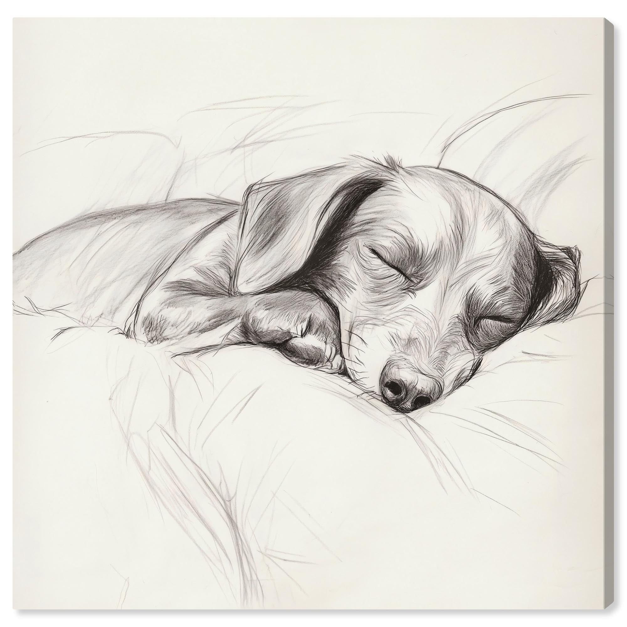 Doggy Daydreams II Vintage Dog Drawings on Gallery Wrapped Canvas, 40" x 40"