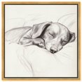 thumbnail image 1 of Doggy Daydreams II Canvas Vintage Dog Drawings by Art Remedy, Gold Frame, 20" x 20", 1 of 7