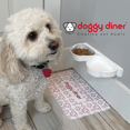 thumbnail image 1 of Doggy Diner Floating Pet Bowl Set, 1 of 8