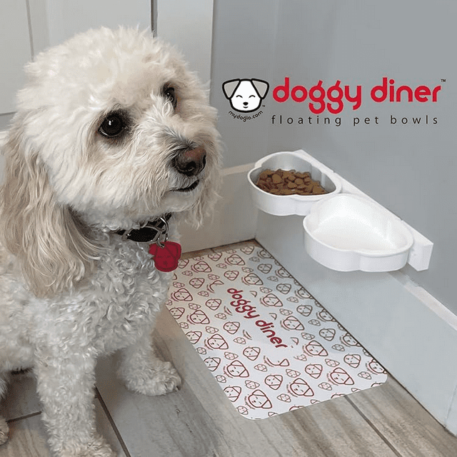 Doggy Diner Floating Pet Bowl Set