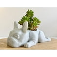 thumbnail image 1 of Doggy Planter  French Bulldog Planter Gift Idea, Bar Decor, Table Decor, Plant Gift Idea, Cute Succulent Planter, any canine/dog/French bulldog and plant lover! Marbel, 1 of 8