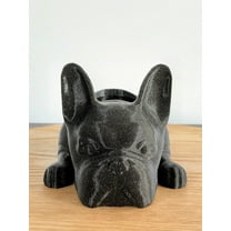 Doggy Planter French Bulldog Planter Gift Idea, Bar Decor, Table Decor, Plant Gift Idea, Cute Succulent Planter, any canine/dog/French bulldog and plant lover! Twinkling Black