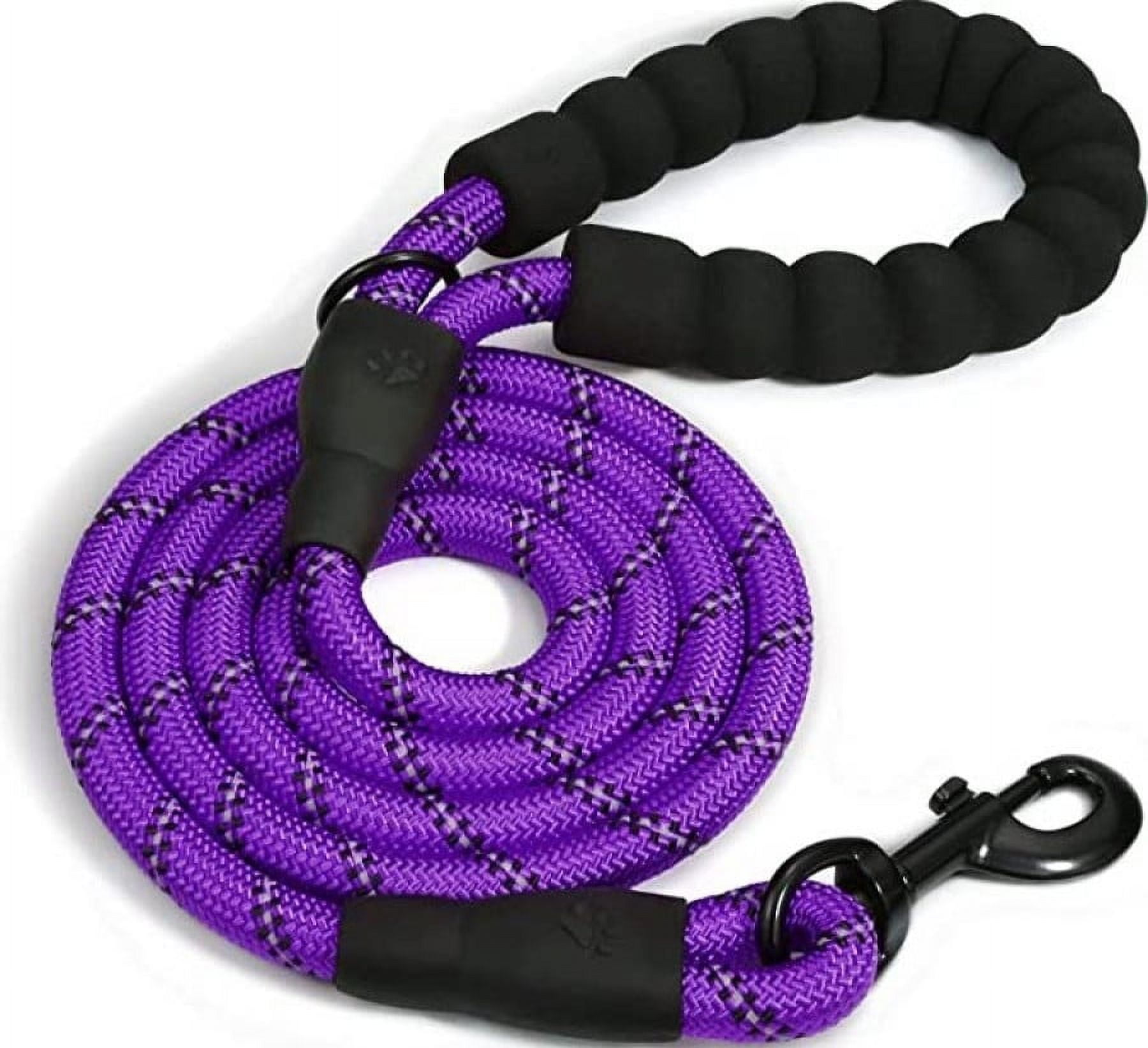 Doggy Tales Braided Leash 5FT - Purple