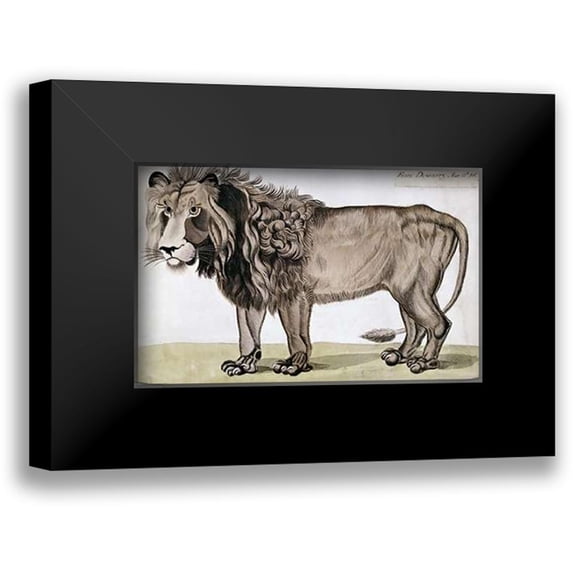 Dogherty, Felix 14x10 Black Modern Framed Museum Art Print Titled - King of The Beasts