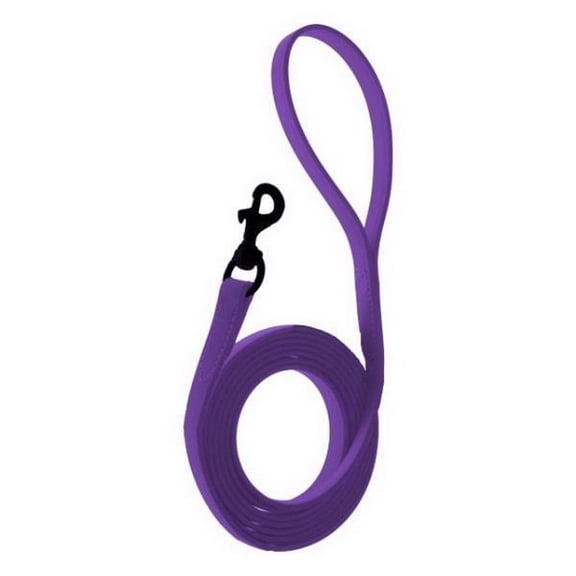 Dogline Biothane Waterproof Leash 2 ft