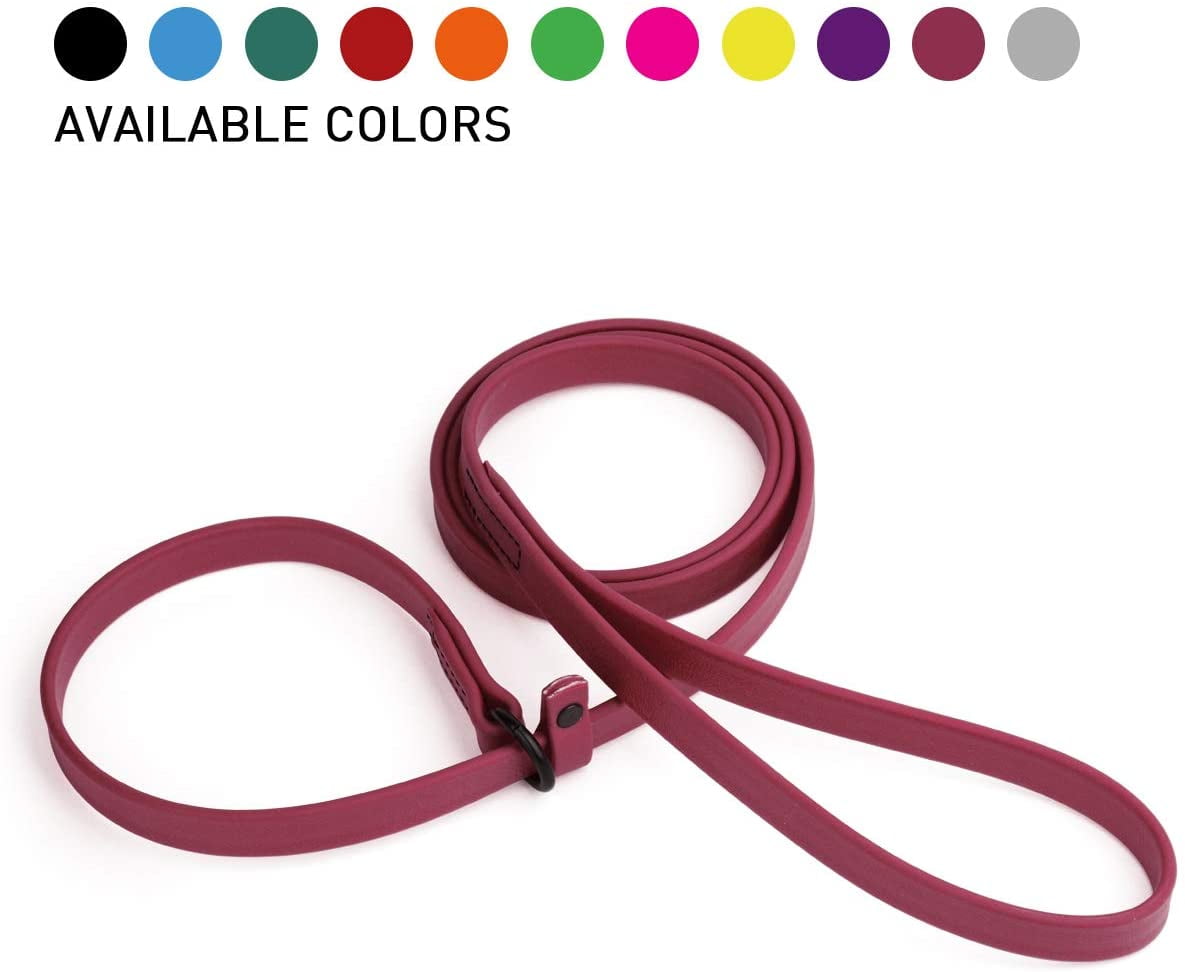 Dogline  - Biothane Slip Dog Leash - for Small, Medium and Large Dogs - Odor Free Slip Lead, Heavy Duty and Durable Material Kennel Lead (Berry: Width 3/8" | L: 60"(5ft))