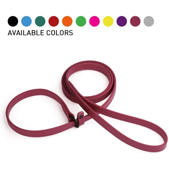 Dogline - Biothane Slip Dog Leash - for Small, Medium and Large Dogs - Odor Free Slip Lead, Heavy Duty and Durable Material Kennel Lead (Berry: Width 5/8" | L: 60"(5ft))