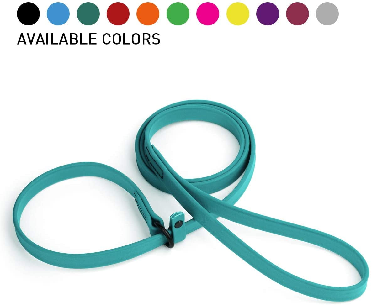 Dogline  - Biothane Slip Dog Leash - for Small, Medium and Large Dogs - Odor Free Slip Lead, Heavy Duty and Durable Material Kennel Lead (Teal: Width 5/8" | L: 60"(5ft))