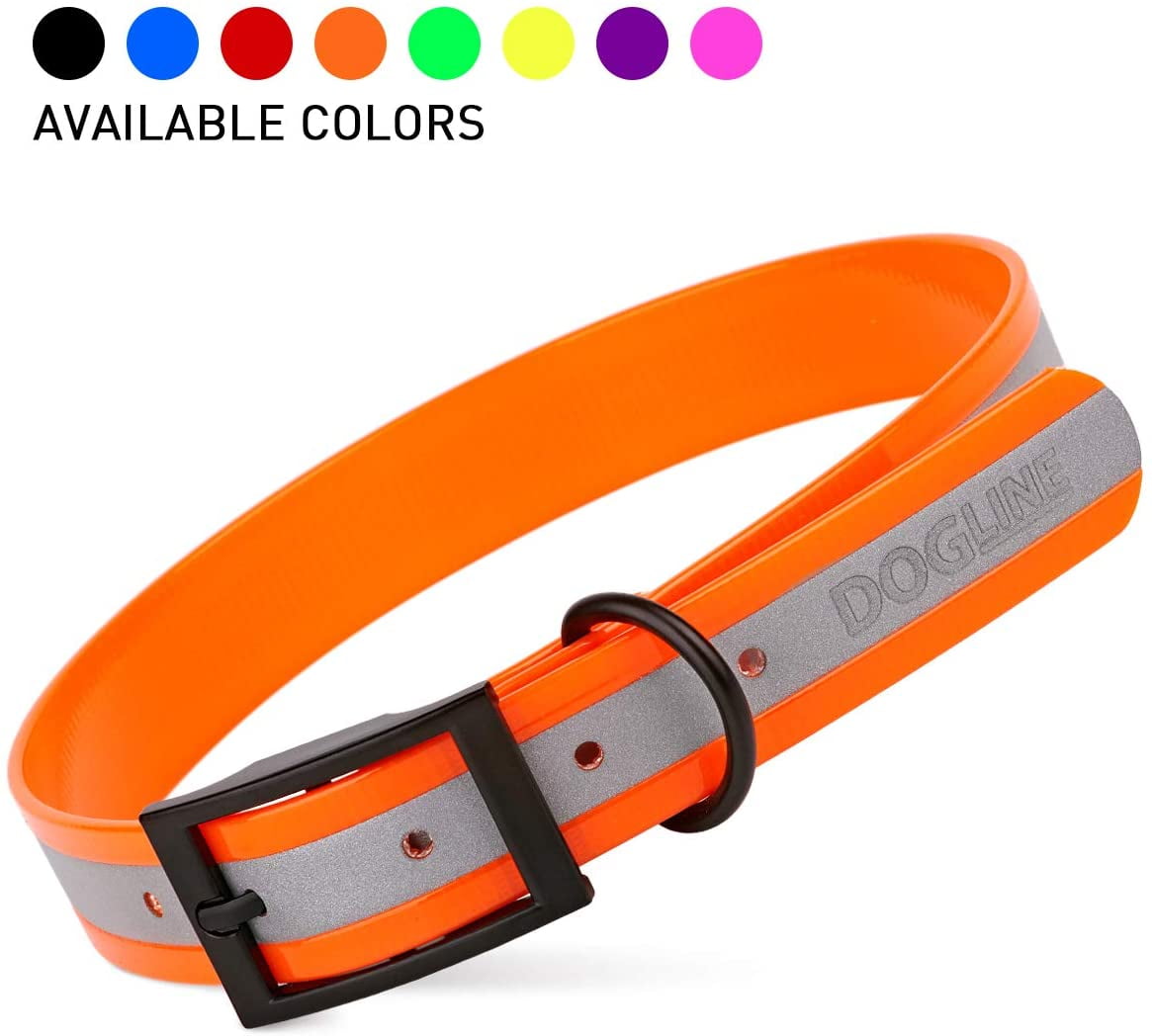 Coated nylon dog collars cheap
