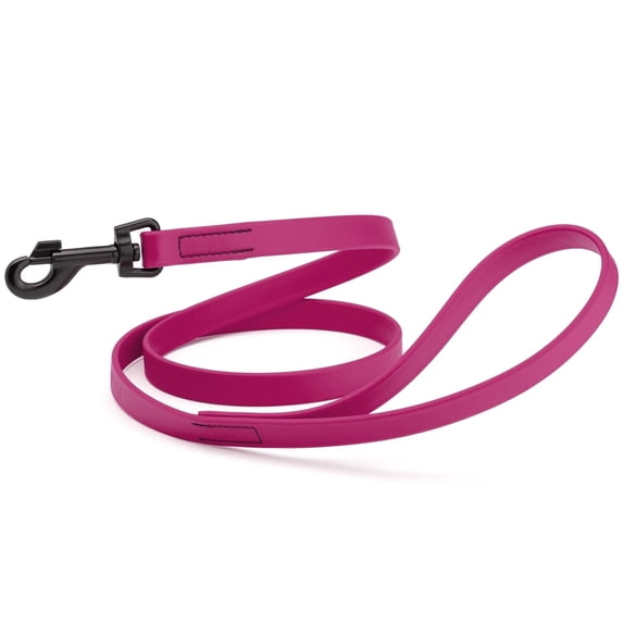 Dogline Biothane Waterproof Leash 4 ft
