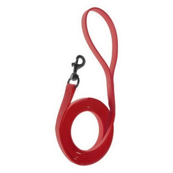 Dogline Biothane Waterproof Leash 6 ft