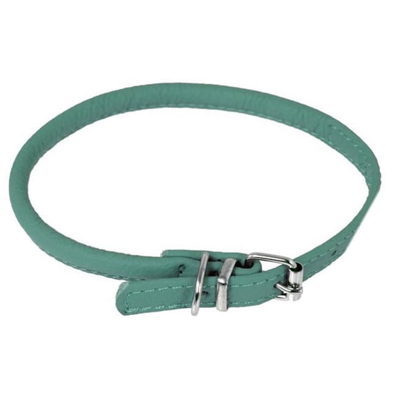 Dogline L1000-23 6-8 L x 14 W in. Round Leather Collar, Teal