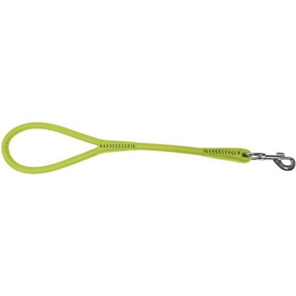 Dogline L2022-5 22 L x 0.5 W in. Round Leather Traffic Lead, Green