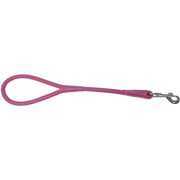 Dogline L2022-7 22 L x 0.5 W in. Round Leather Traffic Lead, Pink