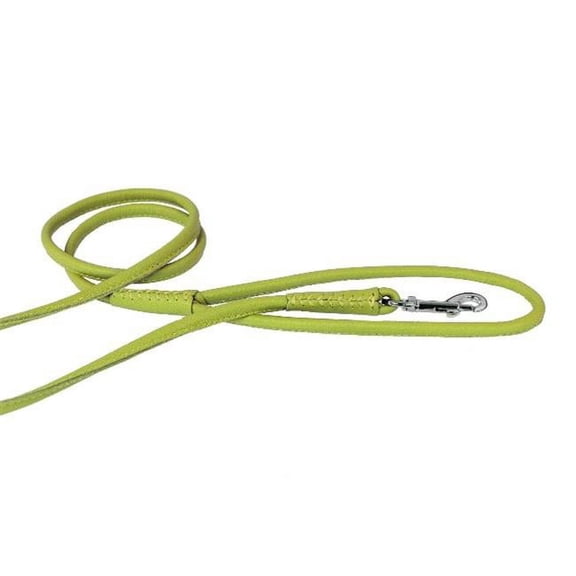 Dogline L2030-5 36 L x 0.25 W in. Round Leather Leash, Green