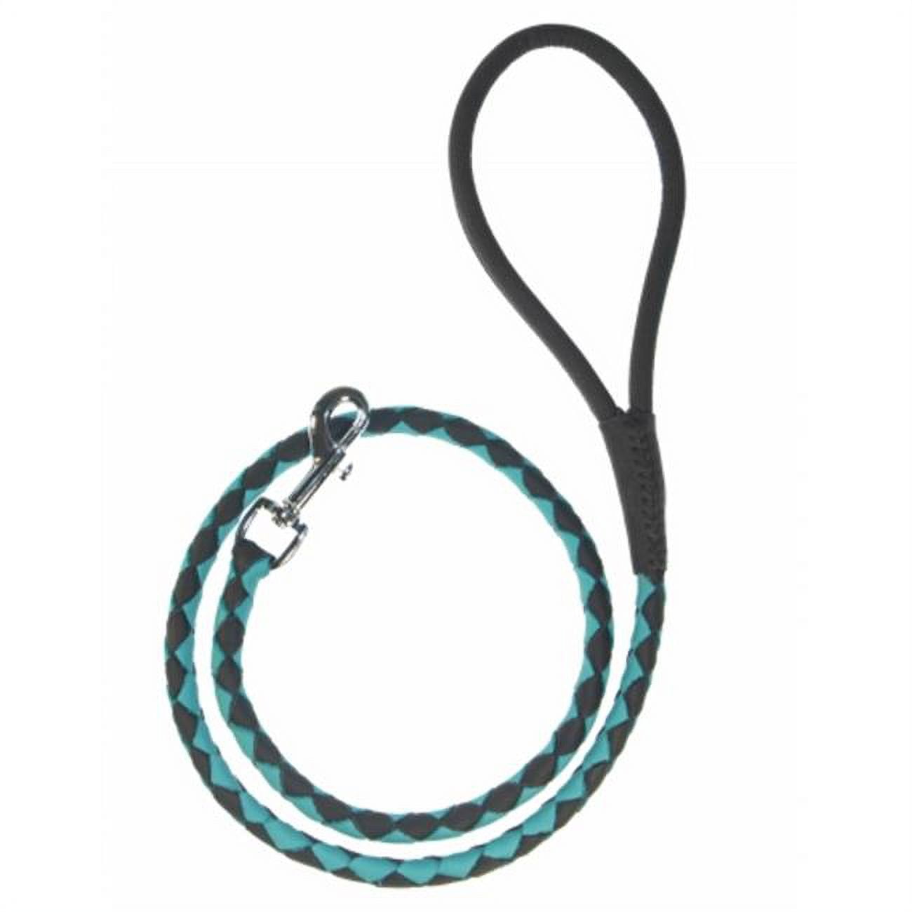 Dogline L2049-1-23 Dogline Round Braided Leather Leash, Black & Teal - 0.38 W x 48 L in.