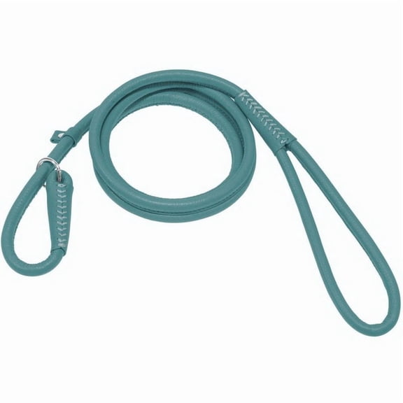 Dogline L2052-23 Round Leather Slip Lead W3/8" - L60", Teal
