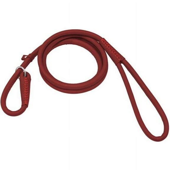 Dogline L2052-3 60 L x 0.38 W in. Round Leather Slip Lead, Red