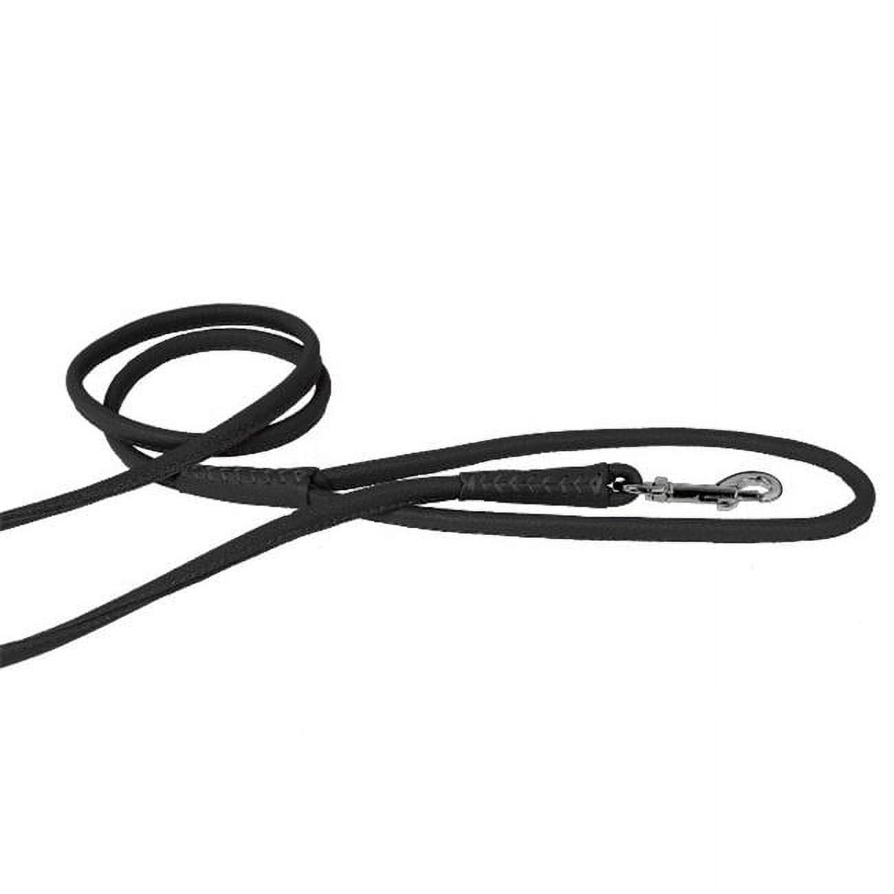 Dogline L2063-1 72 L x 0.5 W in. Round Leather Leash, Black