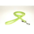 thumbnail image 1 of Dogline M8040-5 4 ft. L x 0.38 W in. Comfort Microfiber Dog Leash, Green, 1 of 16