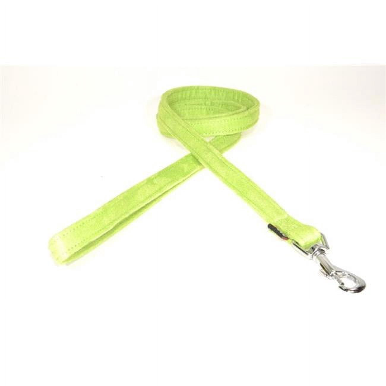 Dogline M8061-5 6 ft. L x 0.63 W in. Comfort Microfiber Dog Leash, Green