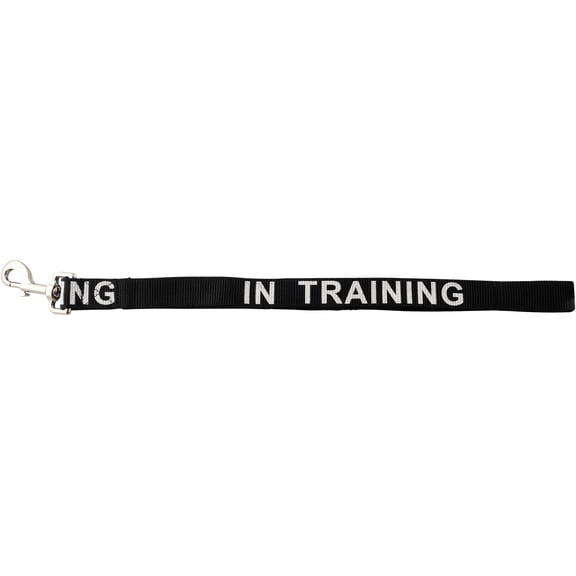 Dogline Reflective Nylon Leash