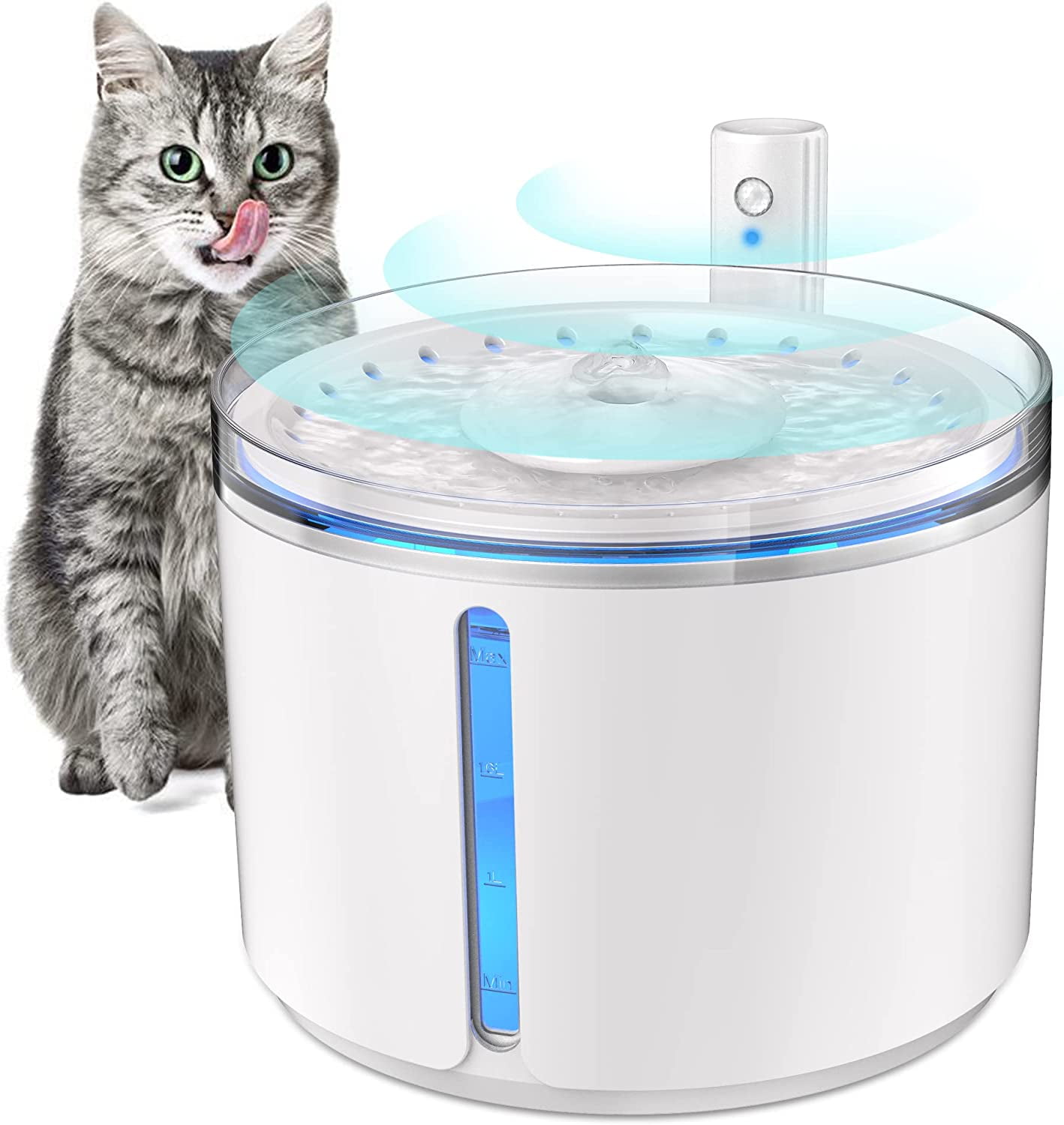 Automatic pet drinking fountain cheap