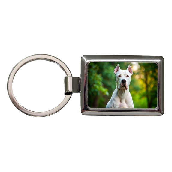 Dogo Argentino Dog Photo Metal Rectangle Keychain