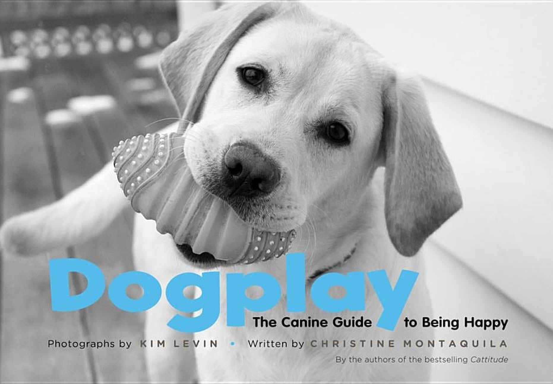 KIM LEVIN; CHRISTINE MONTAQUILA Dogplay : The Canine Guide to Being Happy (Hardcover)