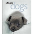 thumbnail image 1 of Pre-Owned Dogs: 101 Adorable Breeds: 101 Adorable Breeds (Hardcover) 0740773429 9780740773426, 1 of 1
