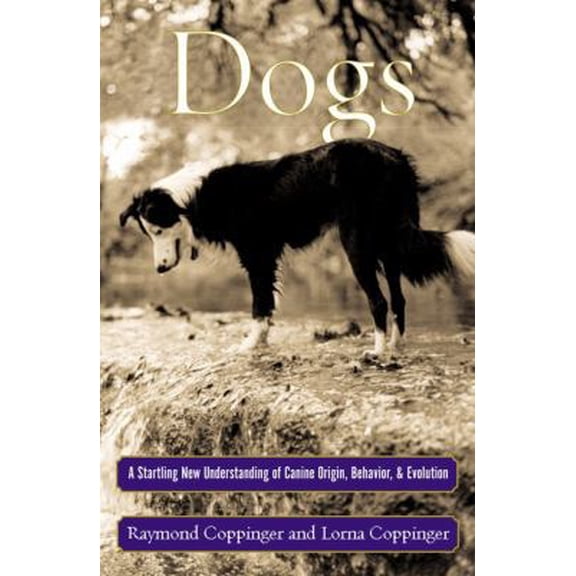 Pre-Owned Dogs: A Startling New Understanding of Canine Origin, Behavior & Evolution (Hardcover) 0684855305 9780684855301