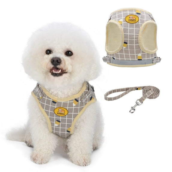 Dogs Adjustable Harness and Leash Set,Step in Dog Harness and Leash Vest Harness for Small and Medium Dogs