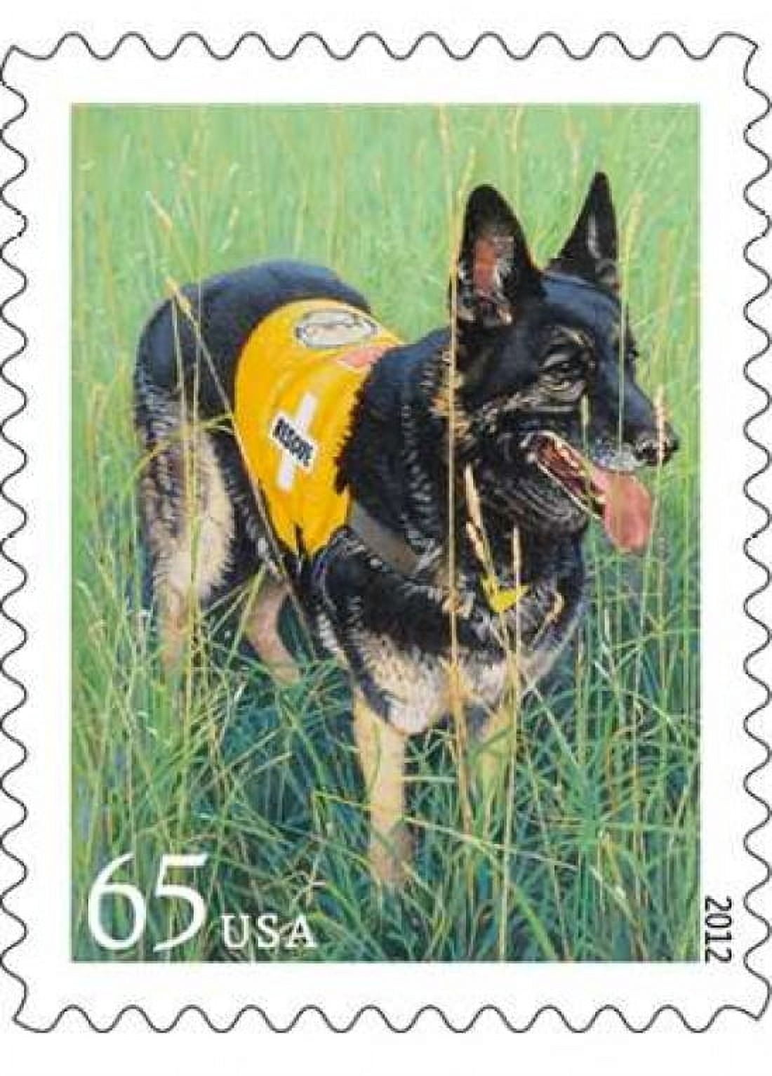 Dogs At Work - Searching Canvas Art - US POSTAL SERVICE (20 x 28)